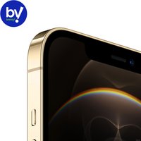 Телефон Apple iPhone 12 Pro Max 256GB Восстановленный by Breezy, грейд B (золотистый)