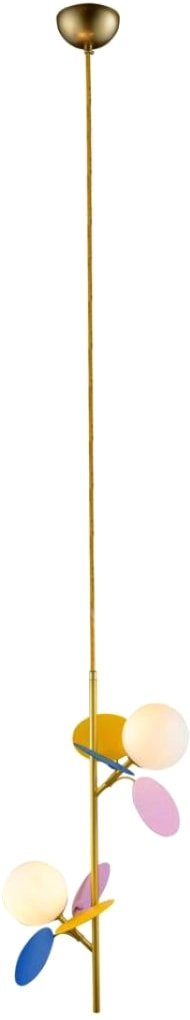 

Подвесная люстра LOFT IT Matisse 10008/2P mult