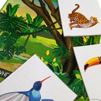 Развивающая игра Десятое королевство Зоопарк 00079