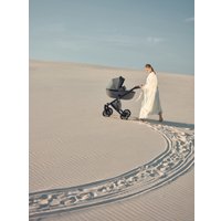 Универсальная коляска Anex E/type 2022 (2 в 1, gothic et-03A)