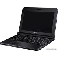 Нетбук Toshiba NB250-107 (PLL2PE-00200WEN)