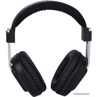 Наушники Alctron HE820