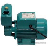 Самовсасывающий насос OMNIGENA WZ 250