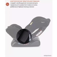 Детское автокресло Rant Basic Rally ZY19 (черный)