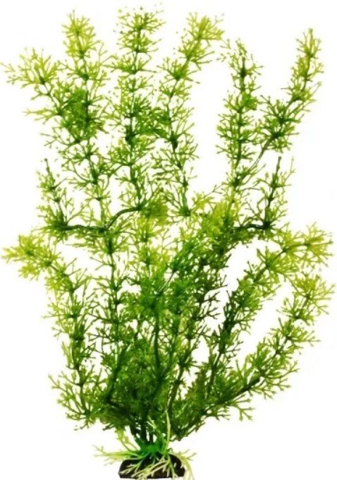 

Искусственное растение Barbus Яванский мох Plant 024/10 (зеленый)