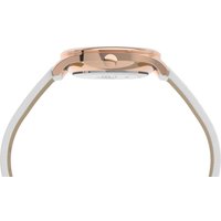 Наручные часы Timex TW2V49400 в Бобруйске