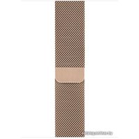 Умные часы Apple Watch Series 5 LTE 44 мм (сталь золотистый/миланский золотой)