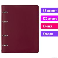 Общая тетрадь BRAUBERG Fusion 129995 (120л, коричневыйголубой)