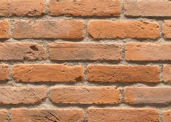 Подворье Феодал Кирпич Брест-Литовский рядовой 26.14 (охра)