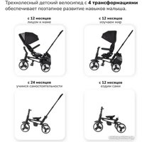 Детский велосипед Nuovita Bamzione BE3 (черный)