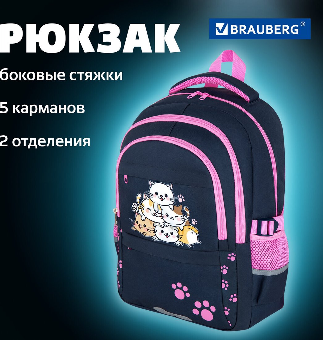 

Школьный рюкзак BRAUBERG Vibe Cat meeting 272089