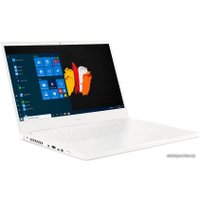 Рабочая станция Acer ConceptD 3 CN315-72-746N NX.C5WER.002