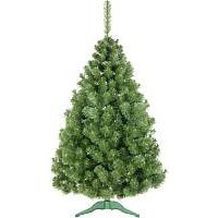 Сосна Erbis Sosna Сибирская 180