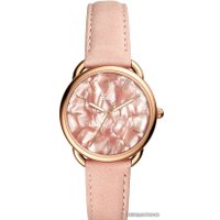 Наручные часы Fossil Tailor ES4419