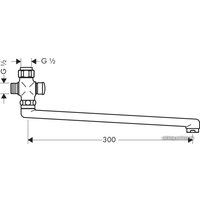 Излив Hansgrohe 14495000