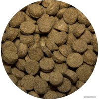 Сухой корм для собак All Dogs для взрослых собак с говядиной и овощами 20 кг