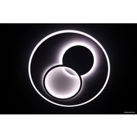 Припотолочная люстра Lusster SL 1259/500