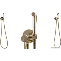 Гигиенический душ Rea Loop REA-B8979 (золотой)