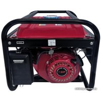Бензиновый генератор WATT WT-3001