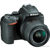 Зеркальный фотоаппарат Nikon D5500 Double Kit 18-55mm VR II + 55-200mm VR II