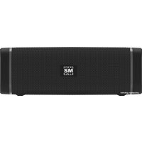 Беспроводная колонка Soundmax SM-PS5019B (черный)