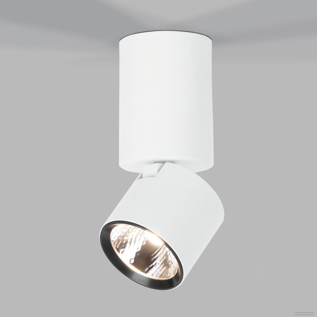 Спот Elektrostandard 25042/LED (белый)