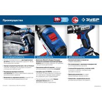 Дрель-шуруповерт Зубр Профессионал DL-201-22 (с 2-мя АКБ 2 Ач, кейс)