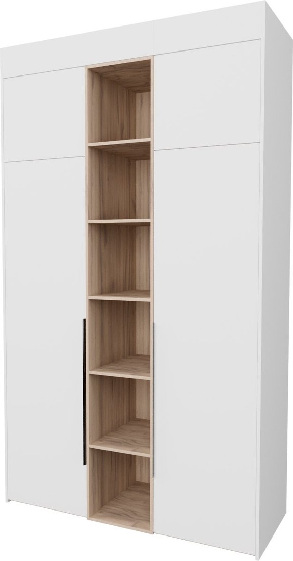 

Шкаф распашной Рэйгрупп Рэй S245-В5-EBЕ В5 (дуб элисон/белый премиум)