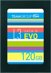 L3 Evo 120GB [T253LE120GTC101]