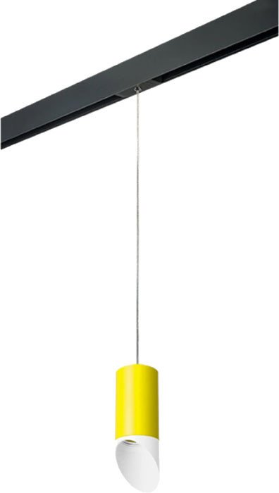 

Трековый светильник Lightstar Rullo PRORP43336