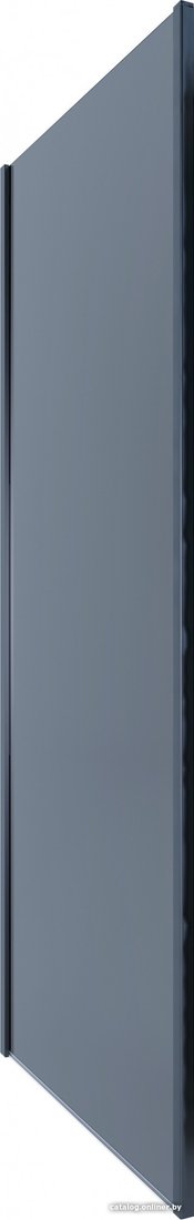Душевая стенка Alex Baitler SG74B100 100x200