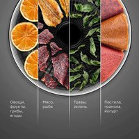 Сушилка для овощей и фруктов Redmond (Редмонд) FD1103 (белый)