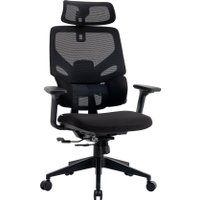 Офисное кресло Evolution LumbarPro (черный)