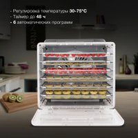 Сушилка для овощей и фруктов Hyundai HYFD-8800