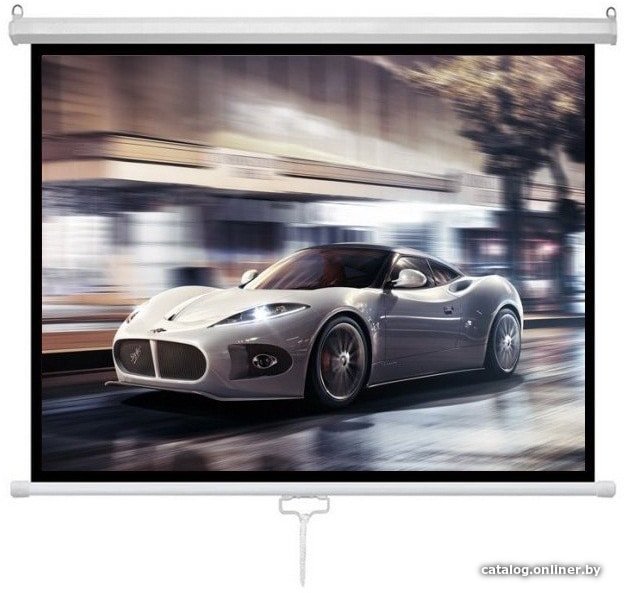 Проекционный экран Future Vision Business 300 300x218 W300WMW