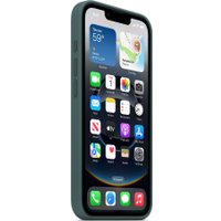 Чехол для телефона Apple Silicone Case для iPhone 16e (зеленый)