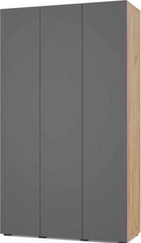 Шкаф распашной Modern Челси Ч35 (золотой дуб/графит)