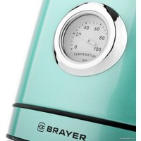 Электрический чайник Brayer BR1005GN