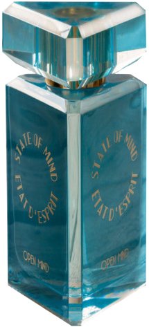 

Парфюмерная вода State of Mind Open Mind EdP (100 мл)