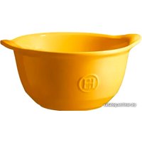 Форма для выпечки Emile Henry 902149