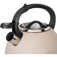 Чайник со свистком Agness Teekessel 907-250