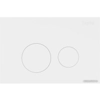 Панель смыва Teymi Lina T70019WM (белый матовый)