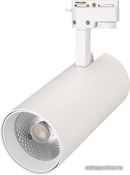 Трековый светильник Arlight LGD-GERA-2TR-R90-30W Day4000 025930(1)