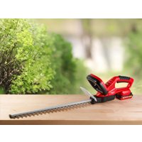 Кусторез Wortex DB 5218 ALL1 XLT Set 1334652 (с 1-им АКБ)