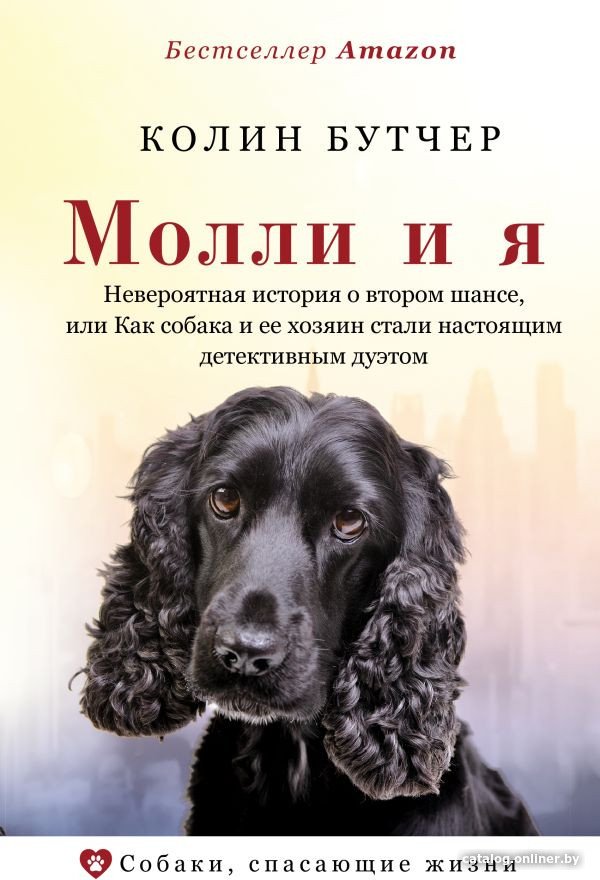 Книга издательства АСТ. Молли и я (Бутчер К.)