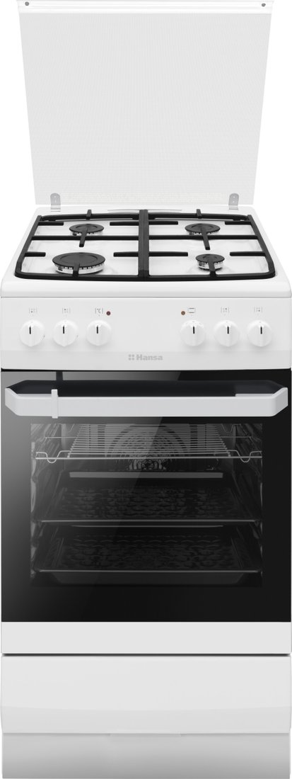 Кухонная плита Hansa FCMW58077