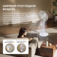 Вентилятор Deerma DEM-FD12W