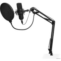 Микрофон SunWind SW-SM400G