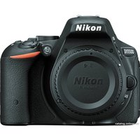 Зеркальный фотоаппарат Nikon D5500 Double Kit 18-55mm VR II + 55-200mm VR II