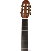 Акустическая гитара Doff D033C